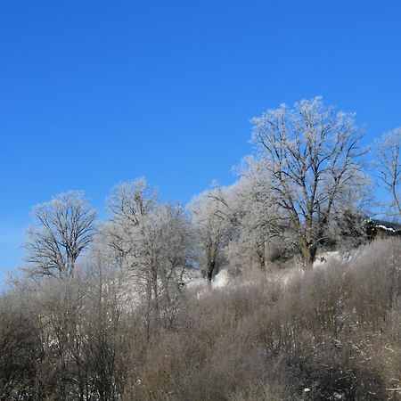 Belvedere Appart & Chalet - Ihr Zuhause Auf Zeit Am Edersee - Ihr Geschenk Die Gaestecard Grimmheimat Waldeck  Eksteriør bilde